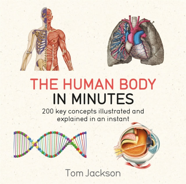 The Human Body in Minutes-9781786481238