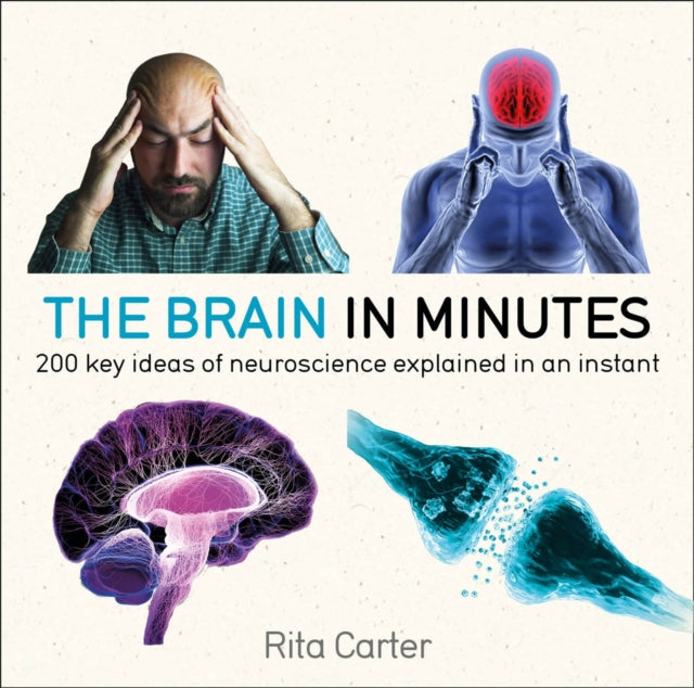 The Brain in Minutes-9781786485793