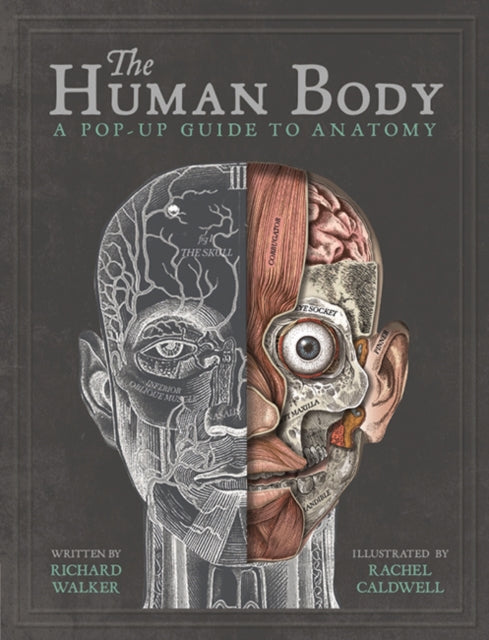 The Human Body : A Pop-Up Guide to Anatomy-9781787410589