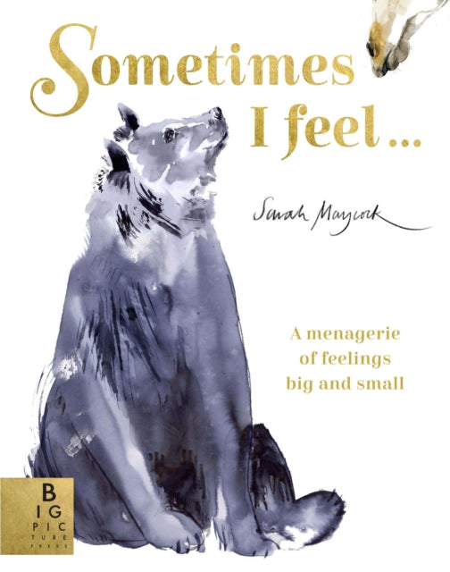 Sometimes I Feel... : A Menagerie of Feelings Big and Small-9781787413849