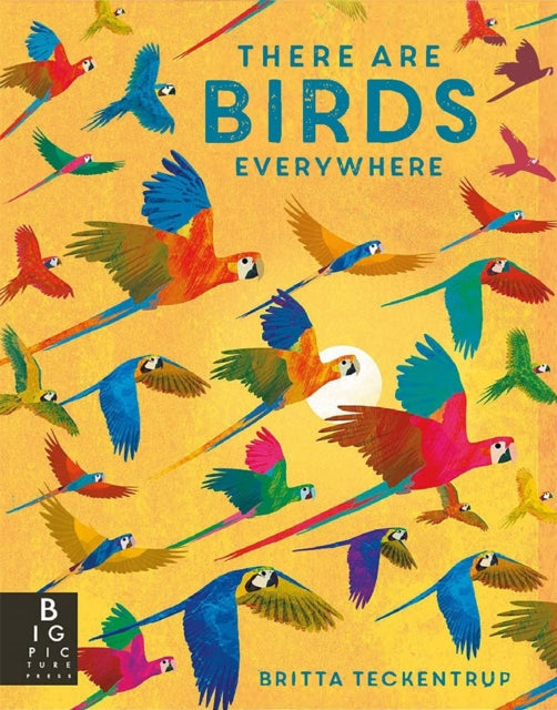 There are Birds Everywhere-9781787417175