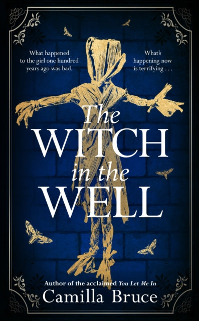 The Witch in the Well : A deliciously disturbing Gothic tale of a revenge reaching out across the years-9781787633414