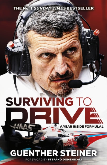 Surviving to Drive : An exhilarating account of a year inside Formula 1, from the breakout star of Netflix's Drive to Survive-9781787636279