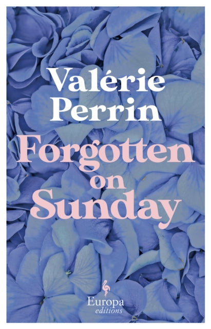 Forgotten on Sunday : From the million copy bestselling author of Fresh Water for Flowers-9781787704770