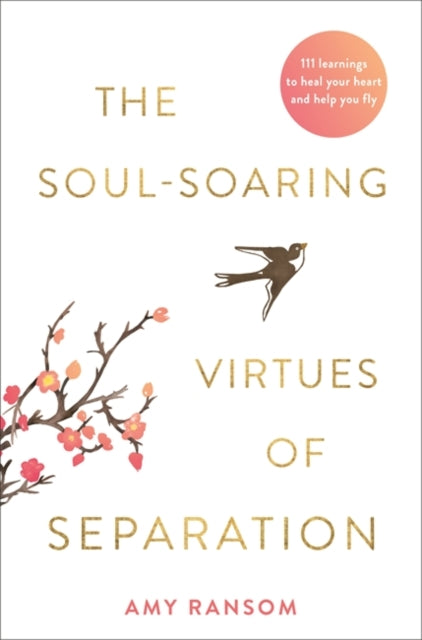 The Soul-Soaring Virtues of Separation : 111 Learnings to Heal Your Heart and Help You Fly-9781788175142
