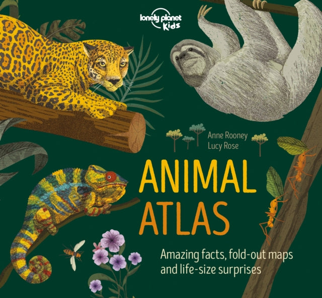 Animal Atlas-9781788682602