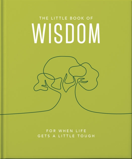 The Little Book of Wisdom : For when life gets a little tough-9781800693586