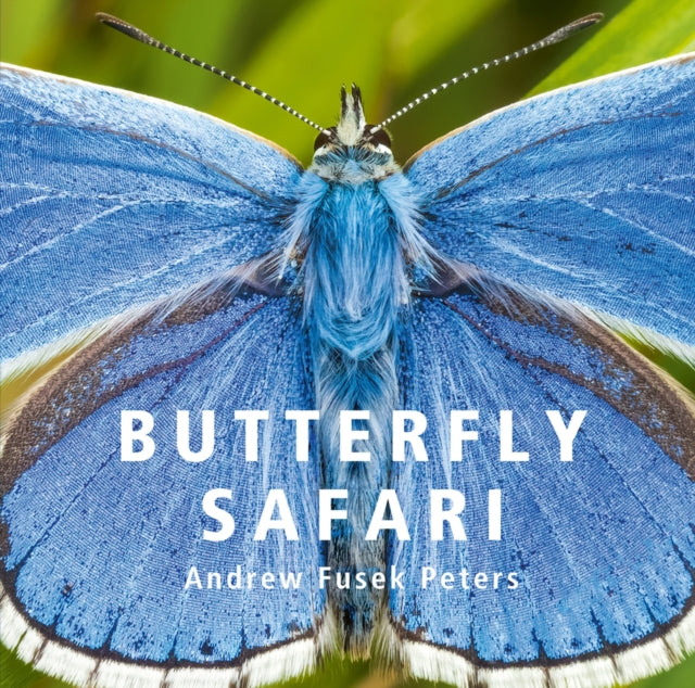 Butterfly Safari-9781802583700
