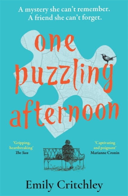 One Puzzling Afternoon : The most compelling, heartbreaking debut mystery-9781804181287