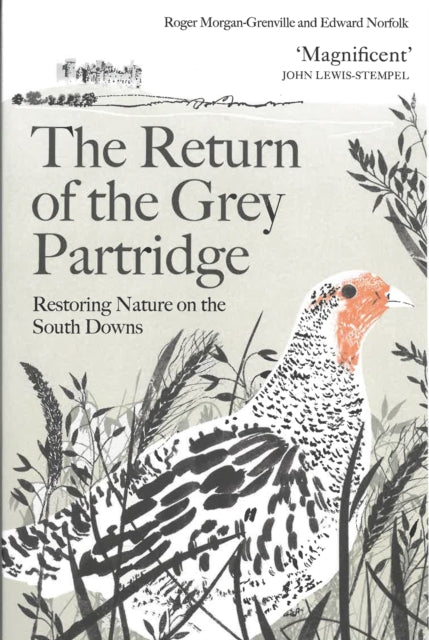 The Return of the Grey Partridge : Restoring Nature on the South Downs-9781805223498