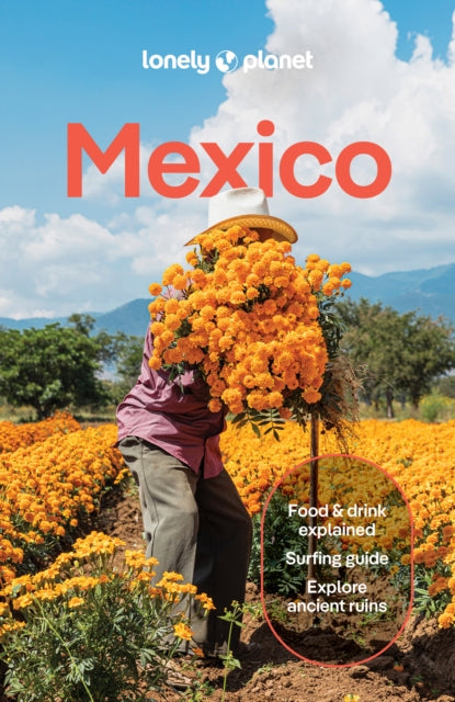 Lonely Planet Mexico-9781837583973