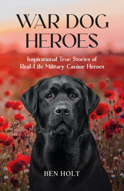 War Dog Heroes : Inspirational True Stories of Real-Life Military Canine Heroes-9781837993857