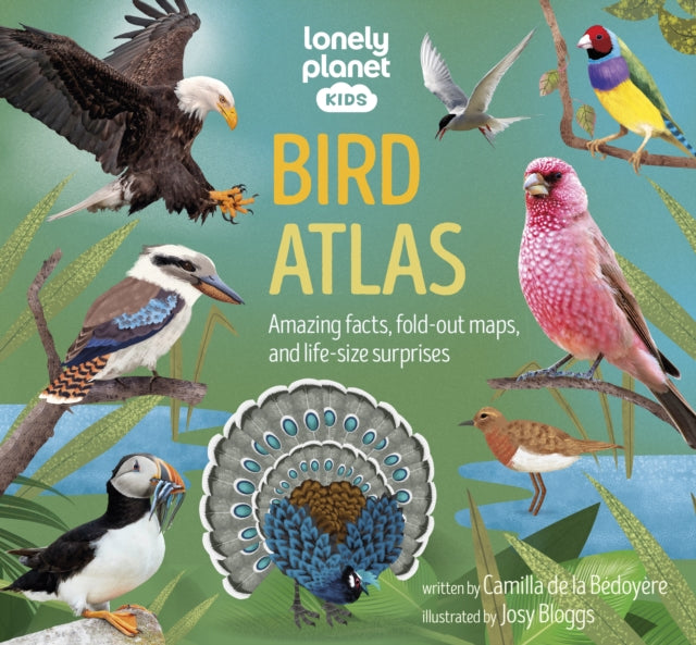 Lonely Planet Kids Bird Atlas-9781838699970
