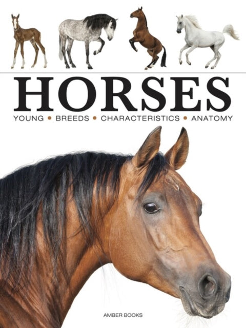 Horses-9781838862596