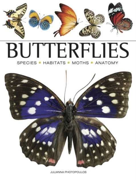 Butterflies-9781838863210