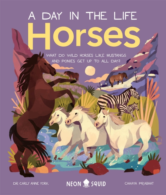 Horses (A Day in the Life) : What Do Wild Horses Like Mustangs and Ponies Get Up To All Day?-9781838992309
