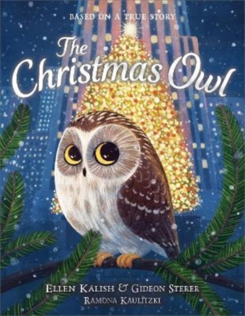The Christmas Owl-9781839132421
