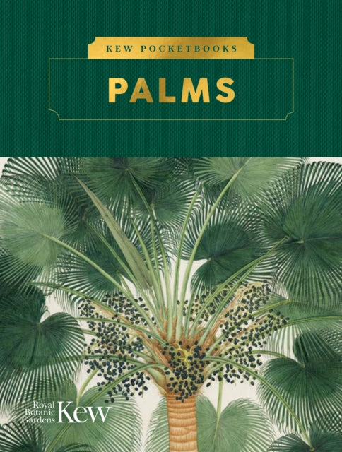 Kew Pocketbooks: Palms-9781842467114