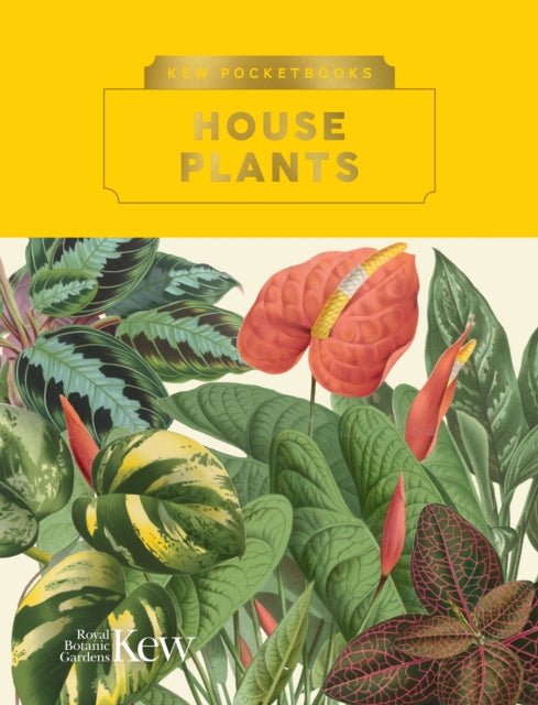 Kew Pocketbooks: House Plants-9781842468067