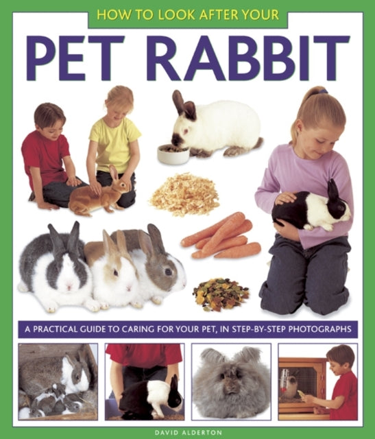 How to Look After Your Pet Rabbit-9781843228349