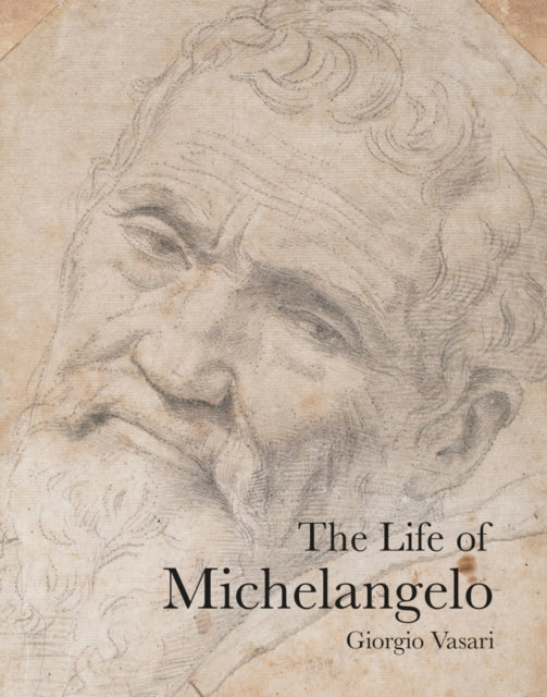 The Life of Michelangelo-9781843681571