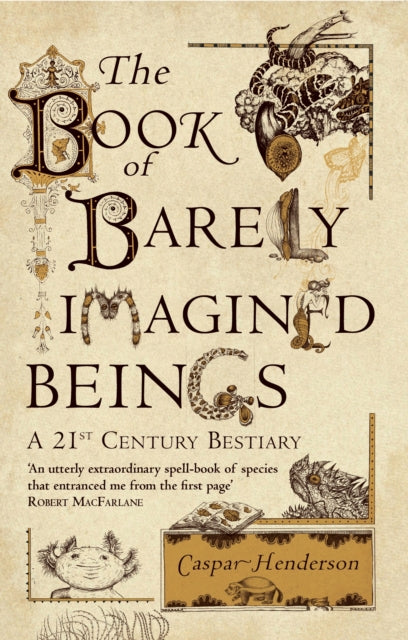 The Book of Barely Imagined Beings : A 21st-Century Bestiary-9781847082442
