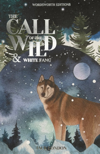 Call of the Wild & White Fang-9781853260261
