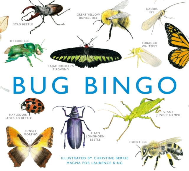 Bug Bingo-9781856699402
