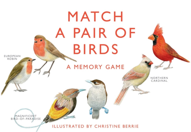 Match a Pair of Birds-9781856699662