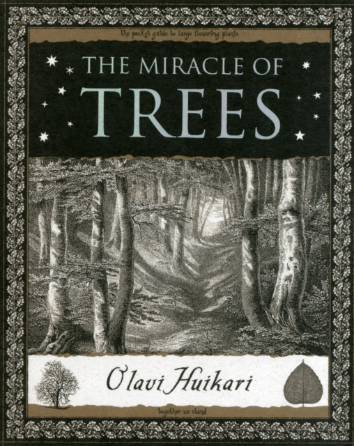The Miracle of Trees : Their Life and Biology-9781904263791