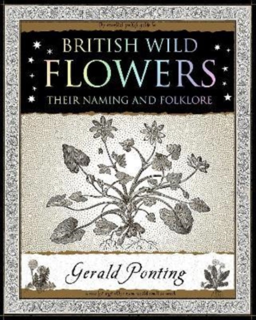 British Wild Flowers : Their Naming and Folklore-9781907155420