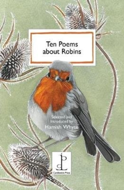 Ten Poems about Robins-9781907598753