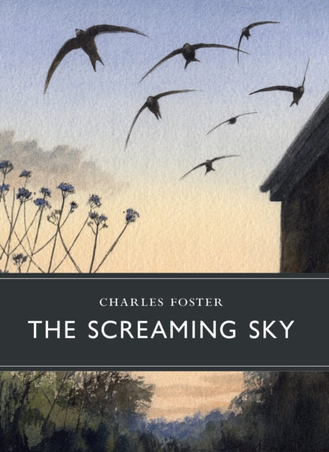 The Screaming Sky-9781908213846