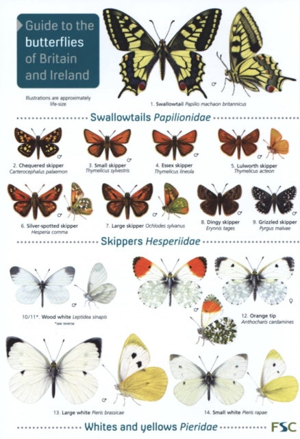 Guide to the butterflies of Britain and Ireland-9781908819451