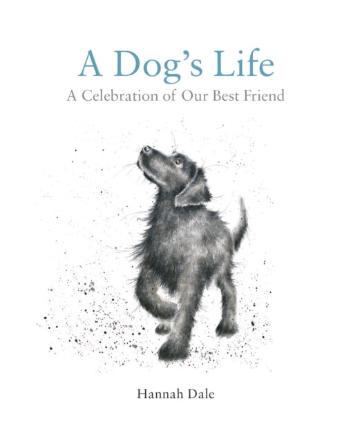 A Dog's Life : A Celebration of Our Best Friend-9781909881846