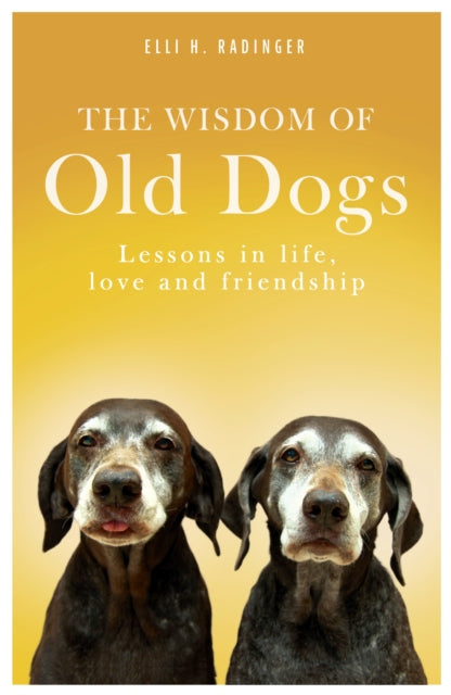The Wisdom of Old Dogs : Lessons in life, love and friendship-9781912624904