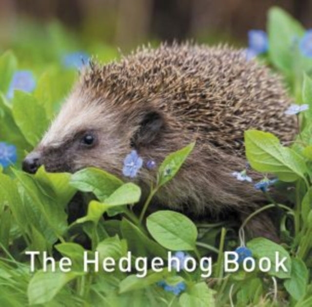 Nature Book Series, The: The Hedgehog Book-9781913134419