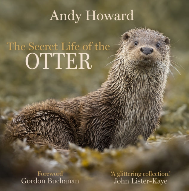 The Secret Life of the Otter-9781913207410