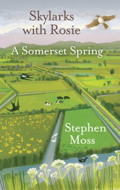 Skylarks with Rosie : A Somerset Spring-9781913393045