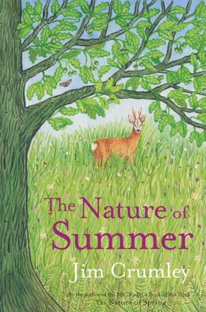 The Nature of Summer : 4-9781913393113