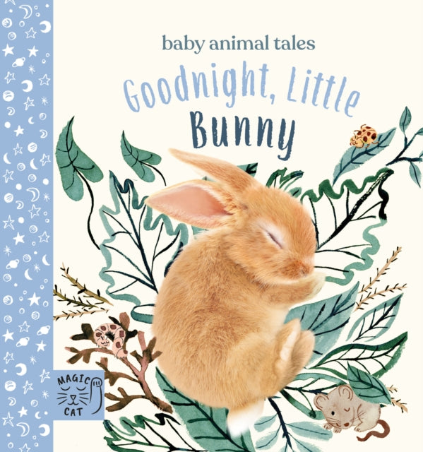 Goodnight, Little Bunny : A book about being brave-9781913520182