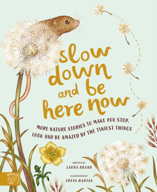 Slow Down and Be Here Now : More Nature Stories to Make You Stop, Look and Be Amazed by the Tiniest Things-9781913520656