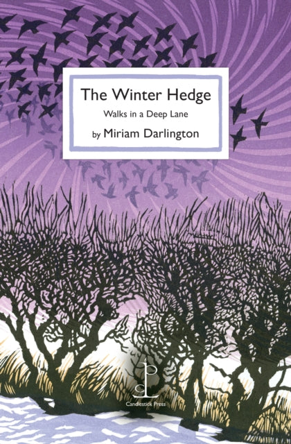 The Winter Hedge : Walks in a Deep Lane-9781913627324