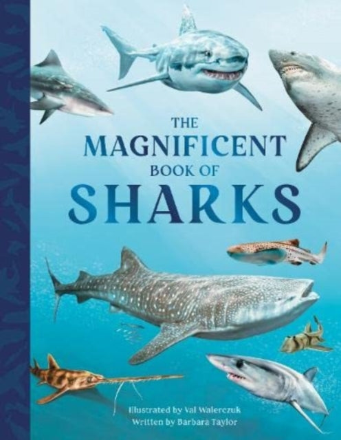 The Magnificent Book of Sharks : 3-9781915588050