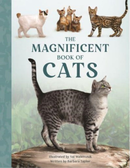 The Magnificent Book of Cats : 4-9781915588142