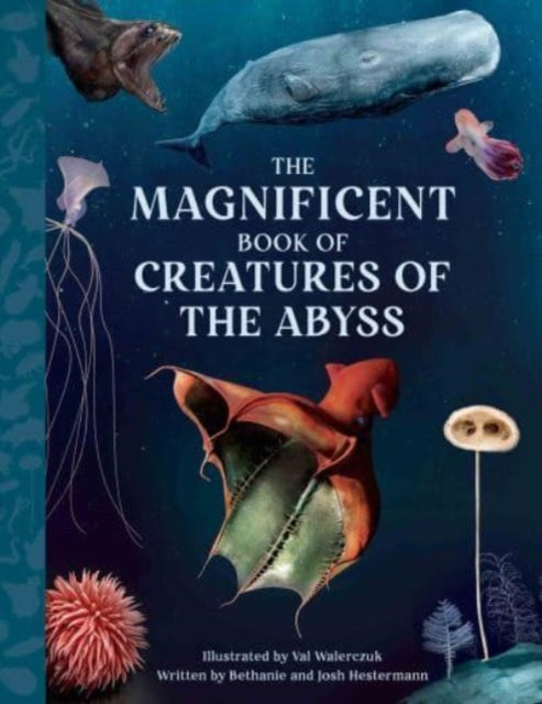 The Magnificent Book Creatures of the Abyss : 6-9781915588289