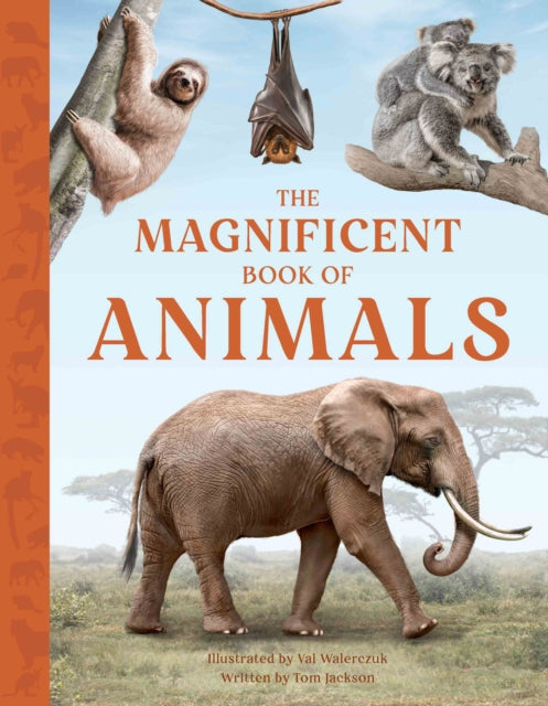 The Magnificent Book of Animals : 7-9781915588319