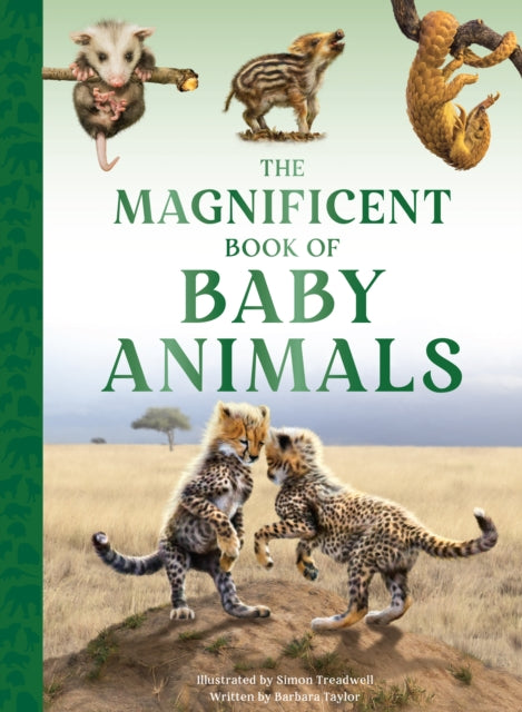 The Magnificent Book of Baby Animals-9781915588470