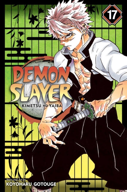 Demon Slayer: Kimetsu no Yaiba, Vol. 17 : 17-9781974710614