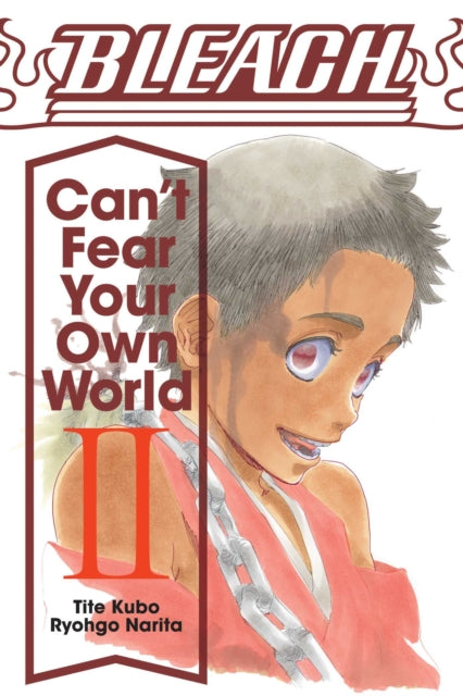 Bleach: Can't Fear Your Own World, Vol. 2-9781974713271